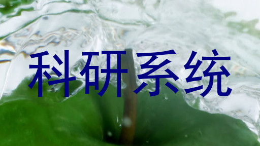 科研系统