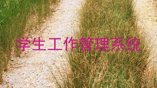 学生工作管理系统