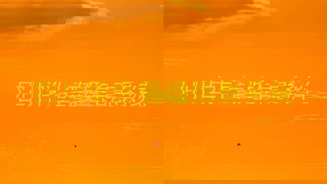 四川学生管理信息系统