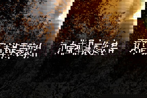 河南排课表软件