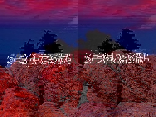 统一身份认证系统源码