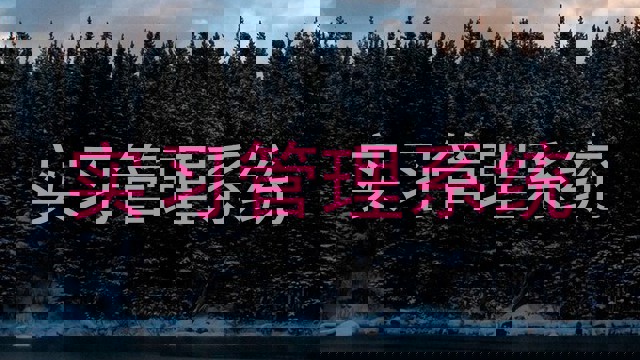 实习管理系统