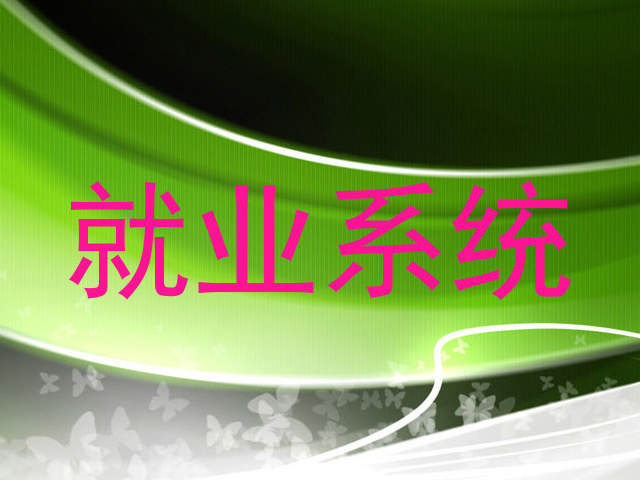就业系统