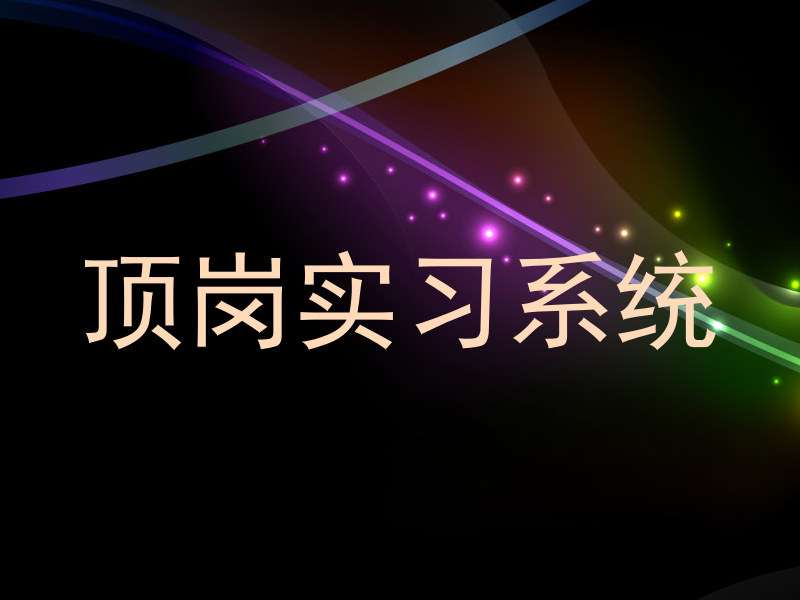 顶岗实习系统