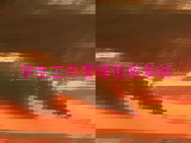 学生工作管理信息系统