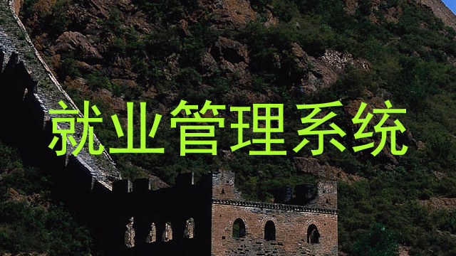 就业管理系统