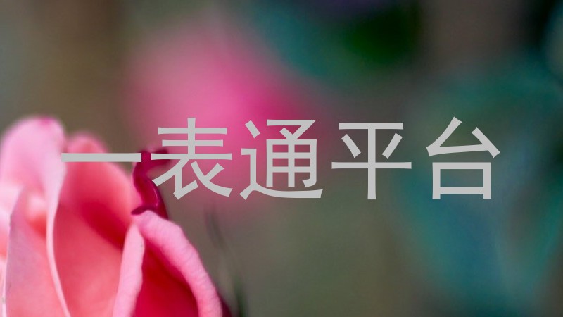 一表通平台