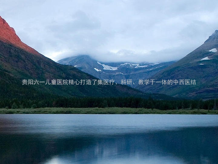 贵阳六一儿童医院精心打造了集医疗、科研、教学于一体的中西医结