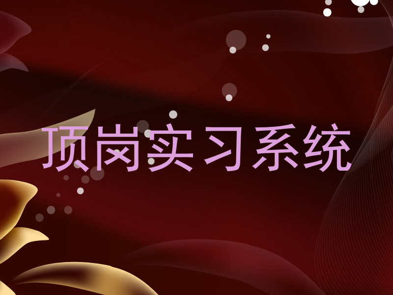 顶岗实习系统