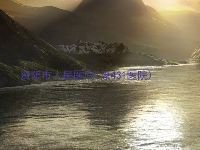 资阳市人民医院(原431医院)
