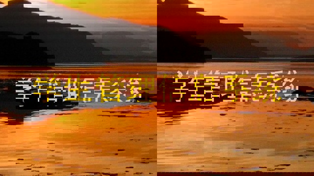 学生管理信息系统