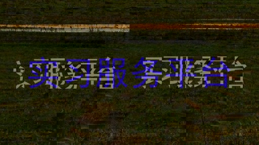 实习服务平台