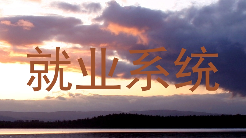 就业系统