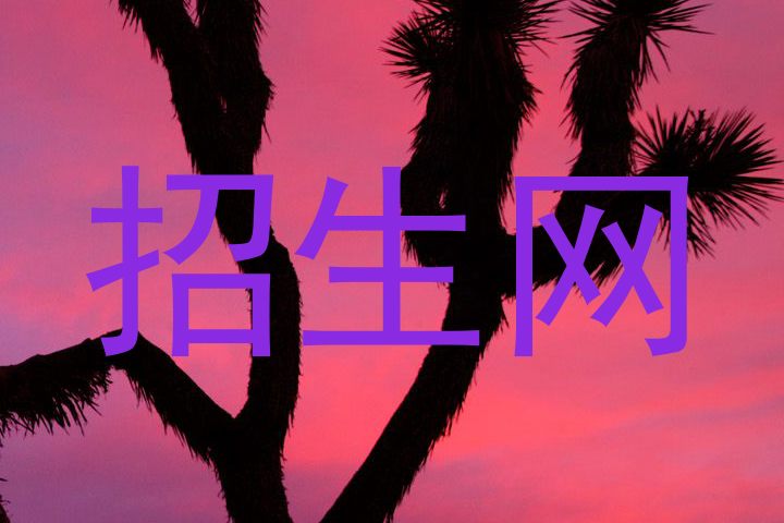招生网