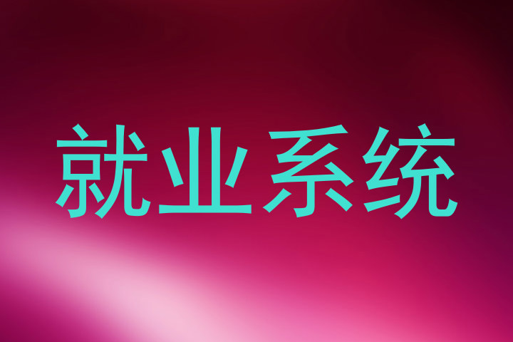 就业系统
