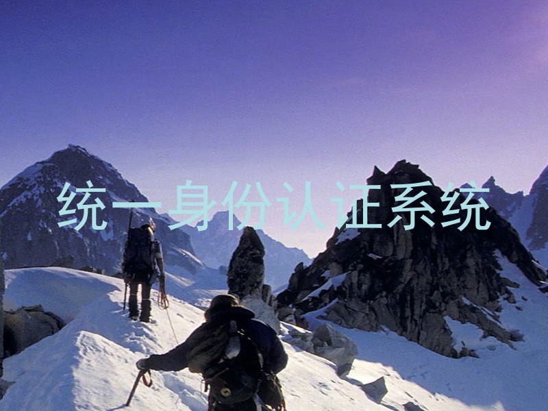 统一身份认证系统