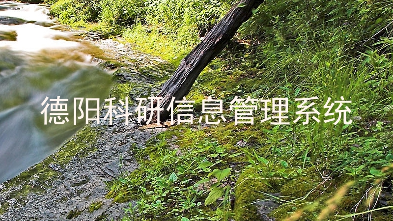 德阳科研信息管理系统