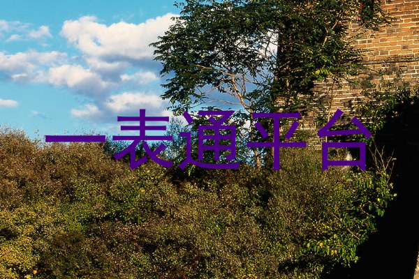 一表通平台