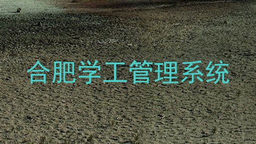 合肥学工管理系统