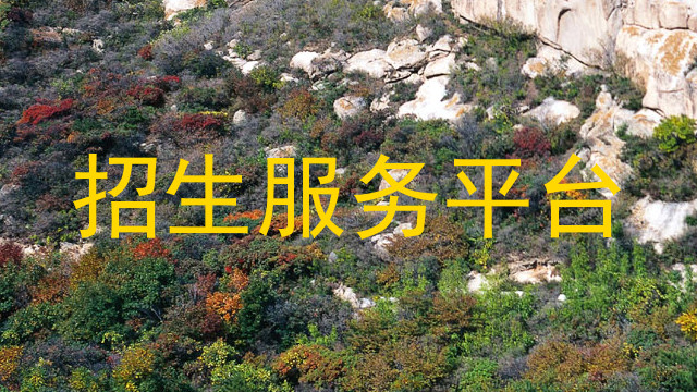 招生服务平台