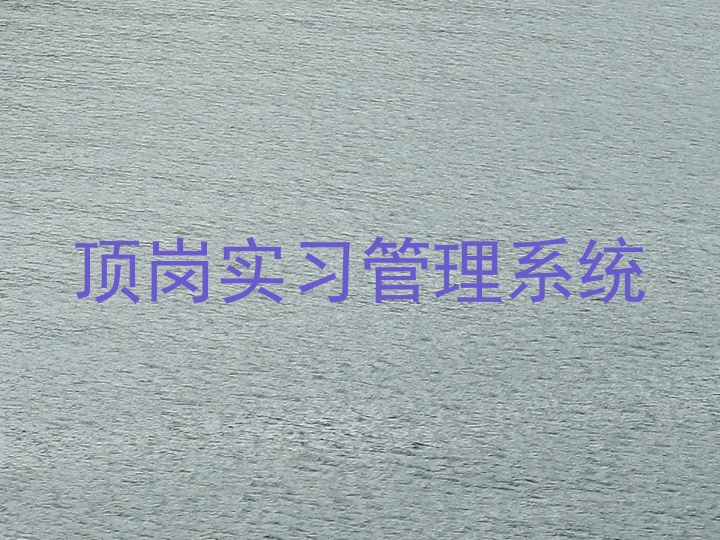 顶岗实习管理系统