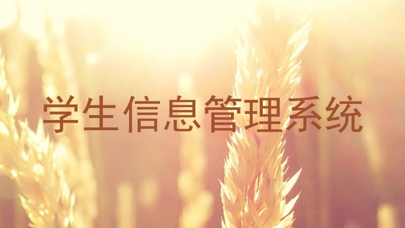 学生信息管理系统