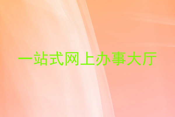 一站式网上办事大厅