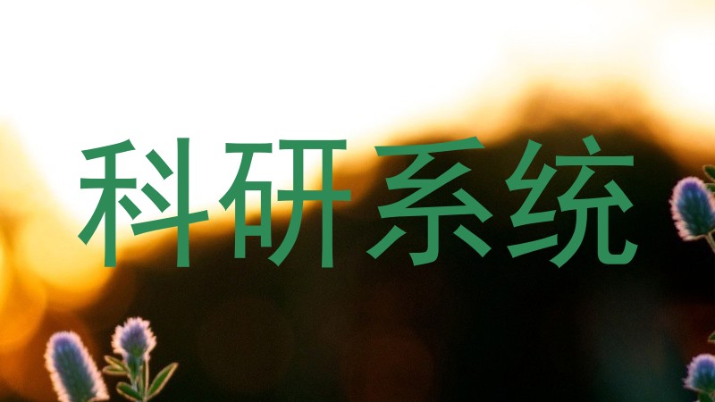 科研系统