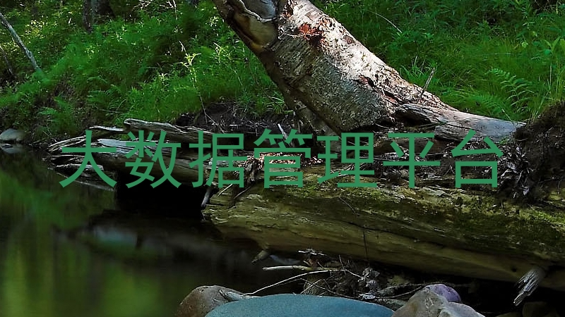 大数据管理平台