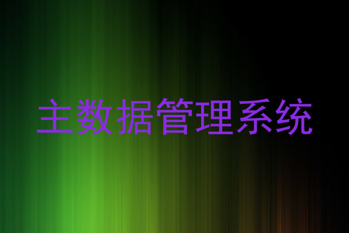 主数据管理系统