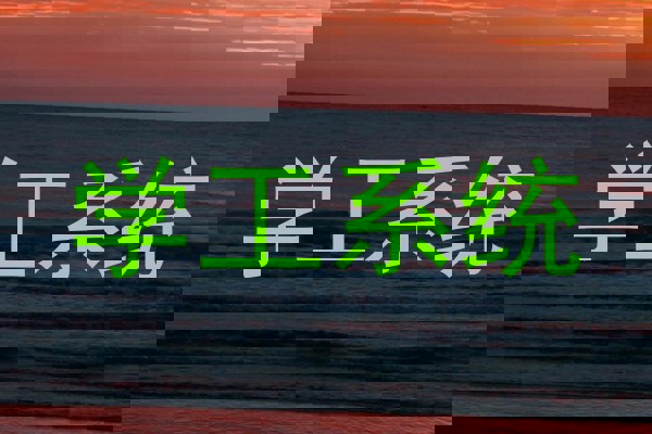 学工系统