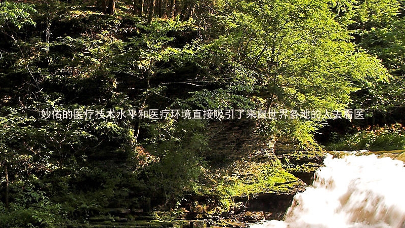 妙佑的医疗技术水平和医疗环境直接吸引了来自世界各地的人去看医