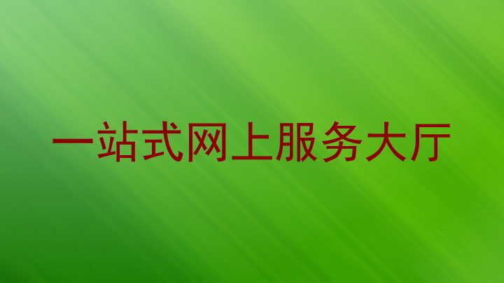 一站式网上服务大厅
