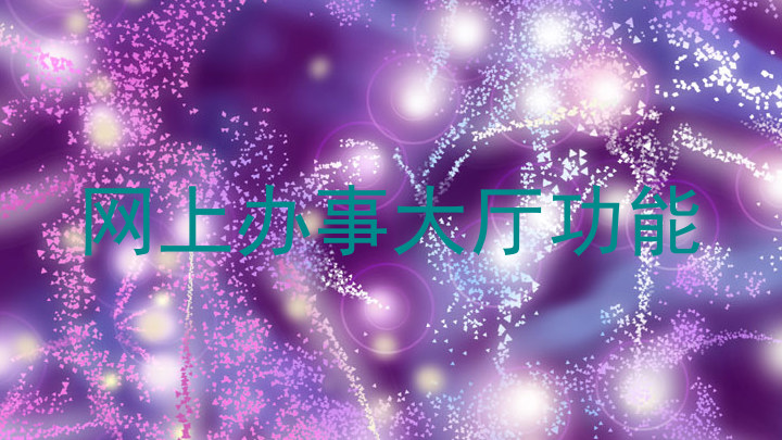 网上办事大厅功能