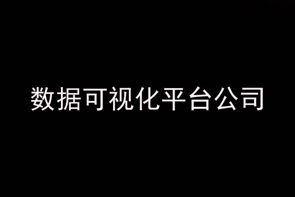 数据可视化平台公司