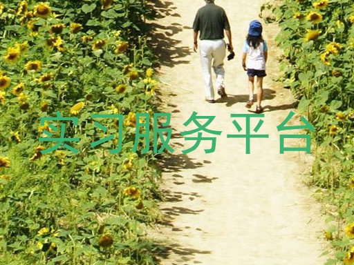 实习服务平台