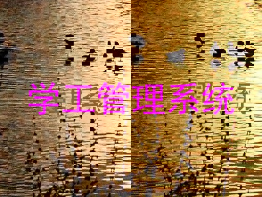 学工管理系统