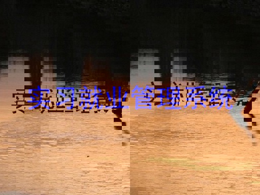 实习就业管理系统