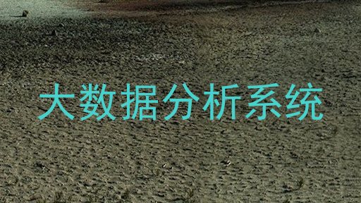 大数据分析系统