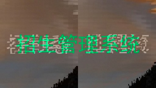 招生管理系统