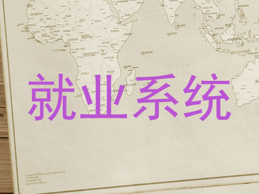 就业系统