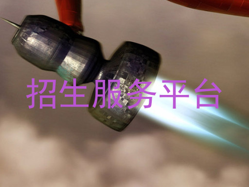 招生服务平台