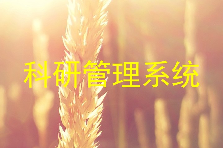 科研管理系统