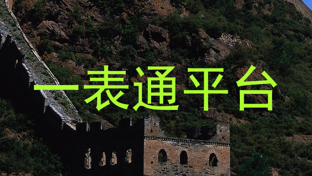 一表通平台