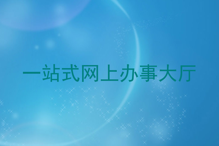 一站式网上办事大厅