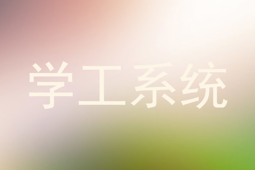 学工系统