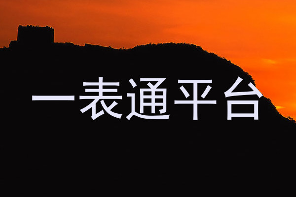一表通平台