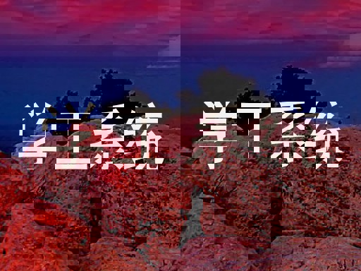 学工系统