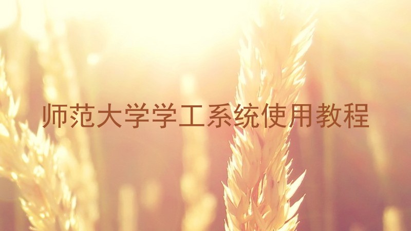 师范大学学工系统使用教程