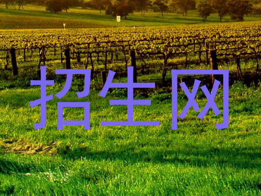 招生网